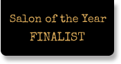 Salon of the Year FINALIST